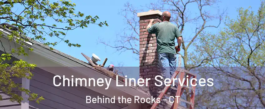 Chimney Liner Services Behind the Rocks - CT