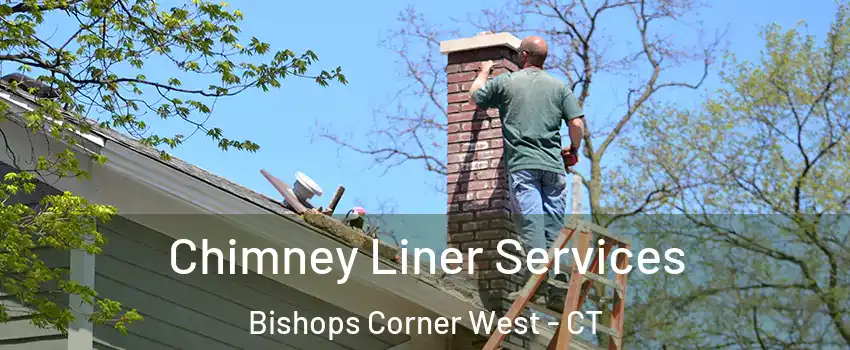 Chimney Liner Services Bishops Corner West - CT