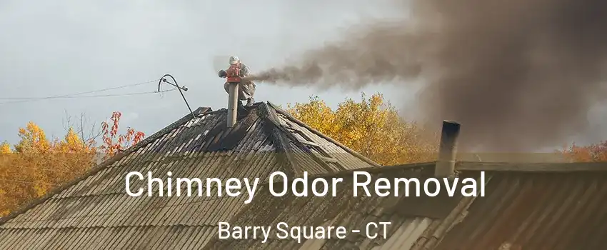 Chimney Odor Removal Barry Square - CT