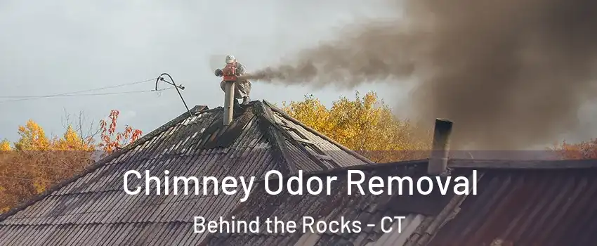 Chimney Odor Removal Behind the Rocks - CT