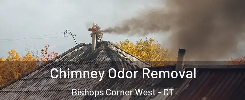 Chimney Odor Removal Bishops Corner West - CT
