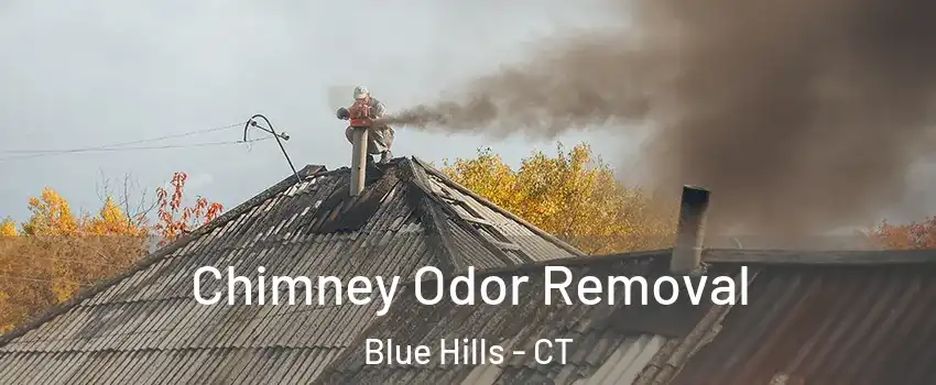 Chimney Odor Removal Blue Hills - CT