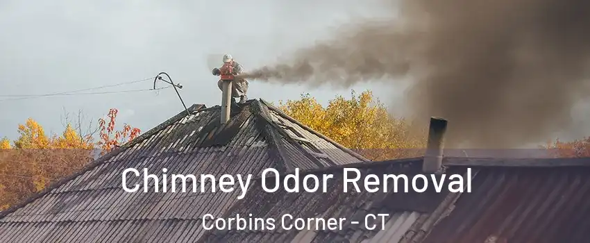 Chimney Odor Removal Corbins Corner - CT