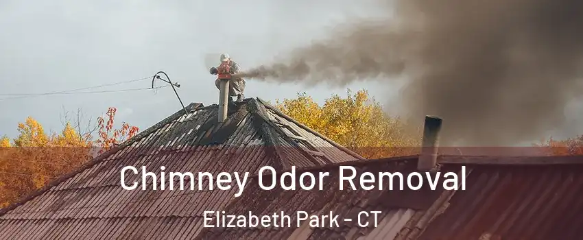 Chimney Odor Removal Elizabeth Park - CT