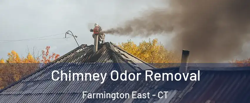 Chimney Odor Removal Farmington East - CT