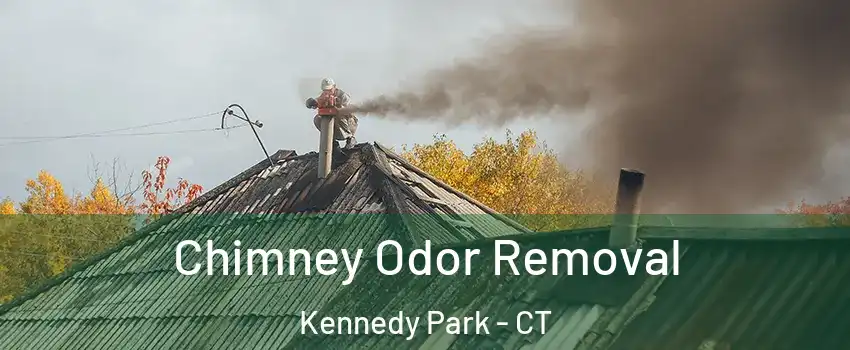Chimney Odor Removal Kennedy Park - CT