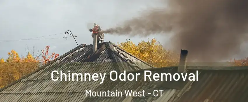 Chimney Odor Removal Mountain West - CT