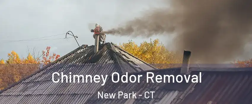 Chimney Odor Removal New Park - CT