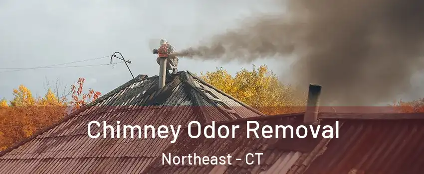 Chimney Odor Removal Northeast - CT