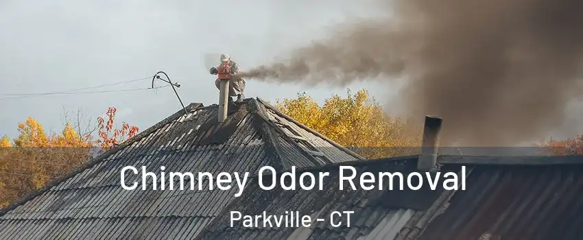 Chimney Odor Removal Parkville - CT