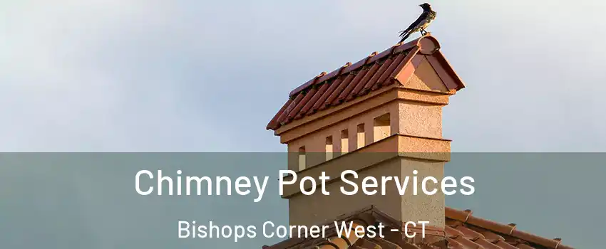 Chimney Pot Services Bishops Corner West - CT