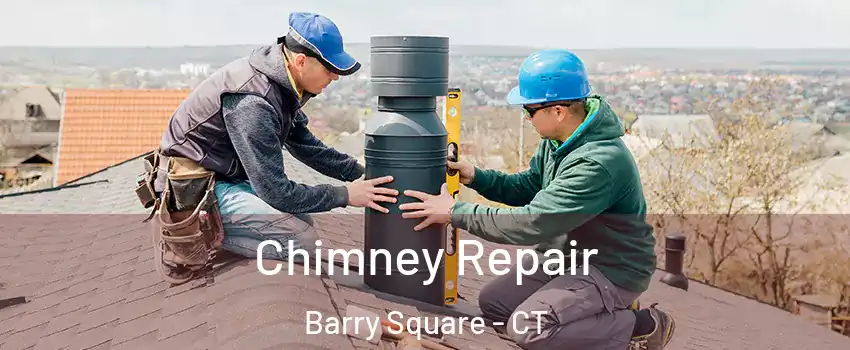 Chimney Repair Barry Square - CT