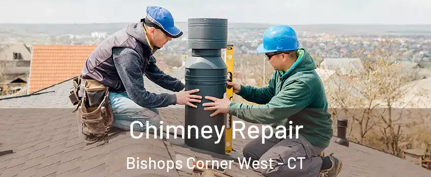 Chimney Repair Bishops Corner West - CT