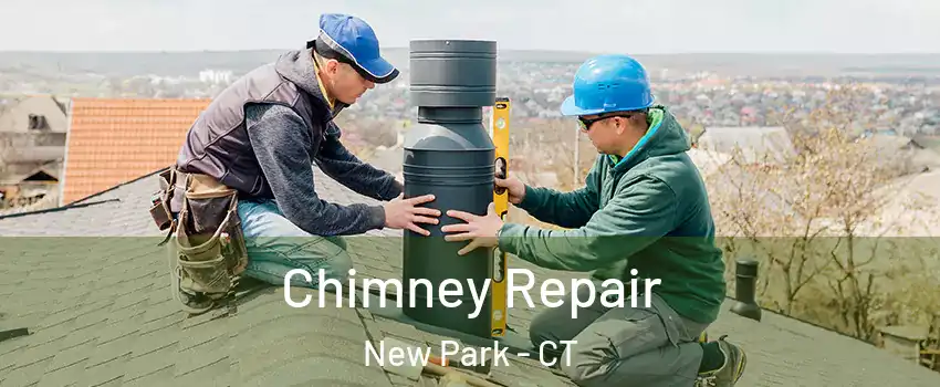 Chimney Repair New Park - CT