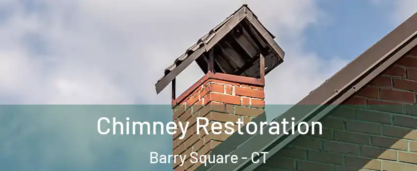 Chimney Restoration Barry Square - CT
