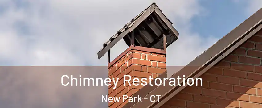 Chimney Restoration New Park - CT