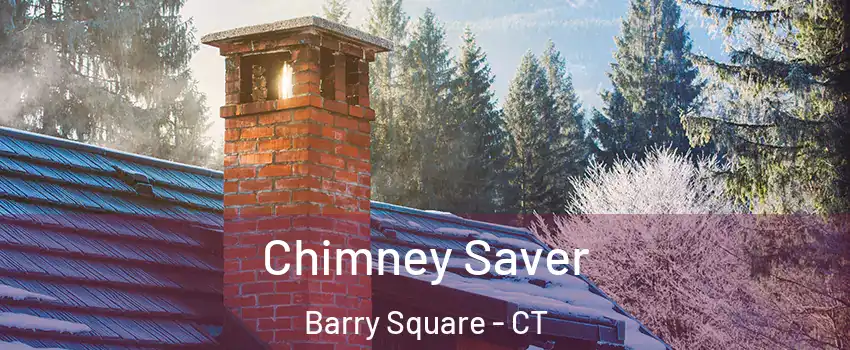 Chimney Saver Barry Square - CT