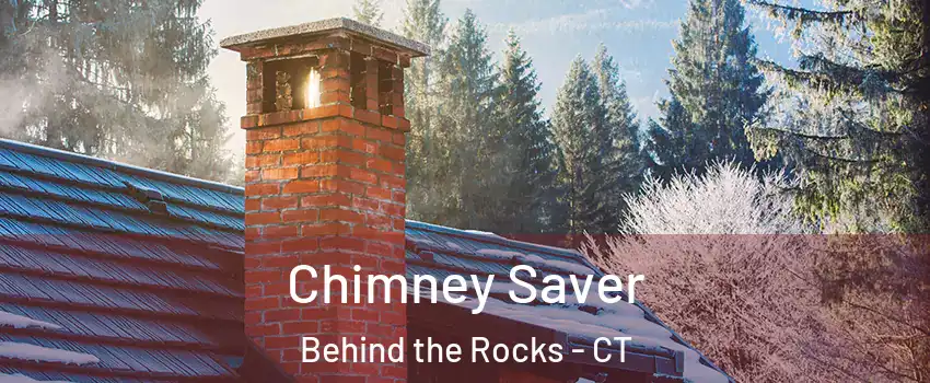 Chimney Saver Behind the Rocks - CT