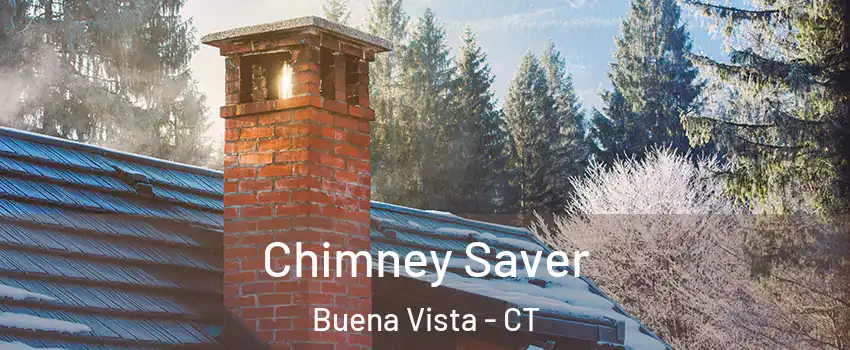 Chimney Saver Buena Vista - CT