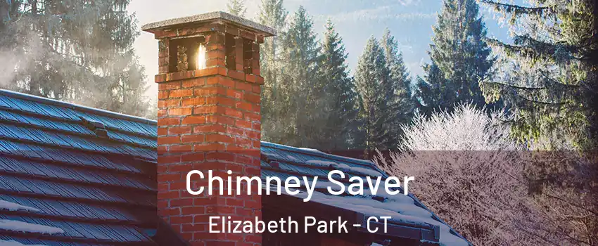 Chimney Saver Elizabeth Park - CT