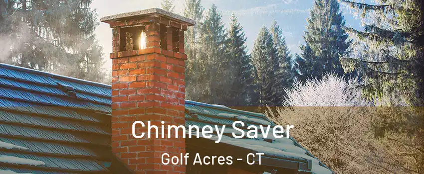 Chimney Saver Golf Acres - CT