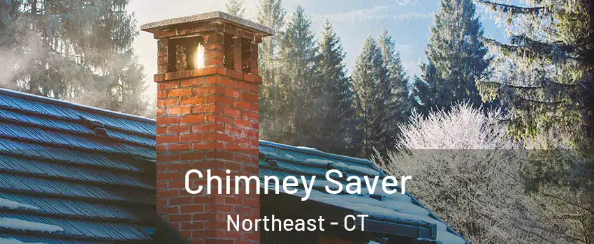 Chimney Saver Northeast - CT