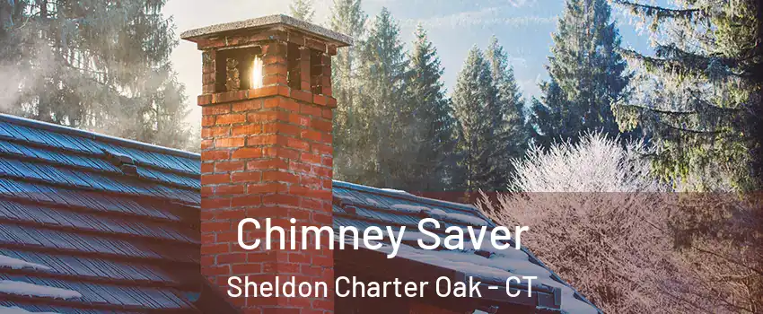 Chimney Saver Sheldon Charter Oak - CT