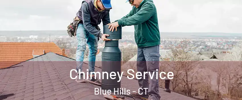 Chimney Service Blue Hills - CT