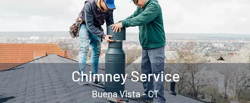 Chimney Service Buena Vista - CT