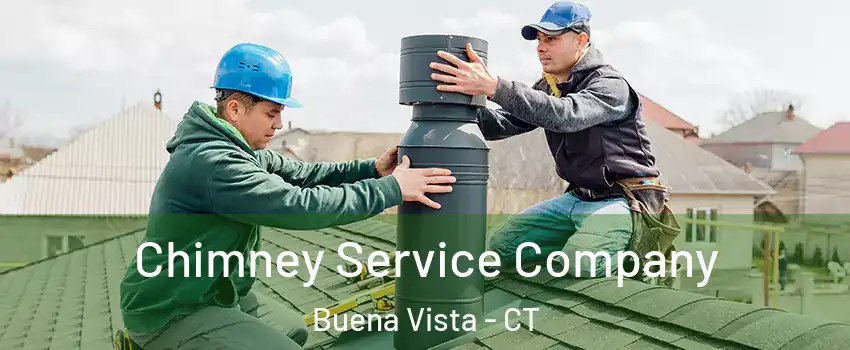 Chimney Service Company Buena Vista - CT