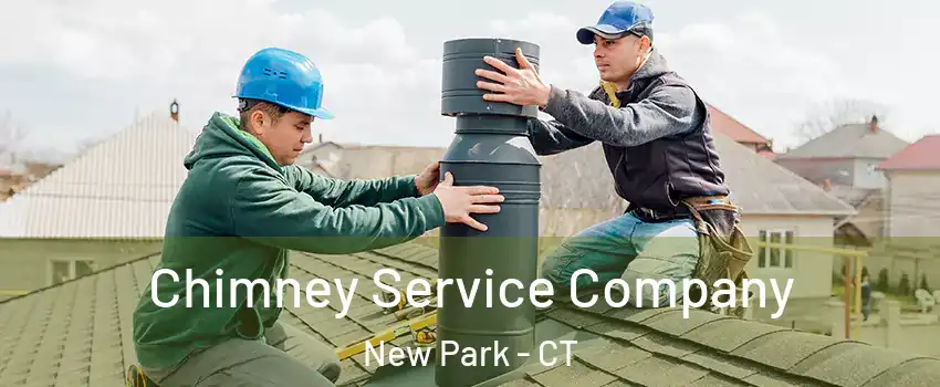 Chimney Service Company New Park - CT