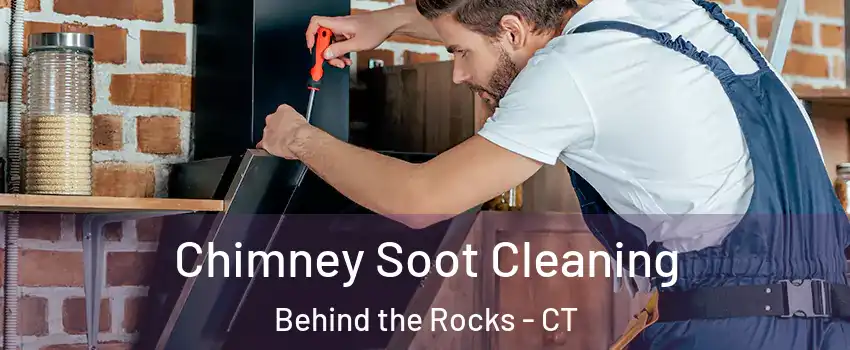 Chimney Soot Cleaning Behind the Rocks - CT