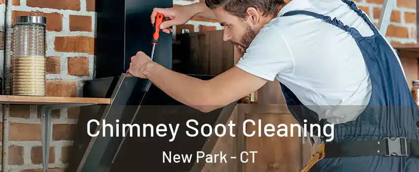 Chimney Soot Cleaning New Park - CT
