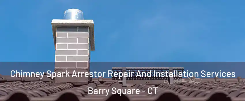 Chimney Spark Arrestor Repair And Installation Services Barry Square - CT