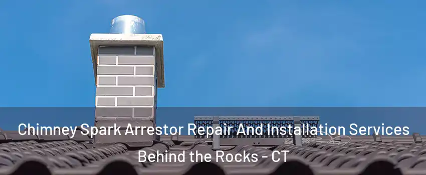 Chimney Spark Arrestor Repair And Installation Services Behind the Rocks - CT
