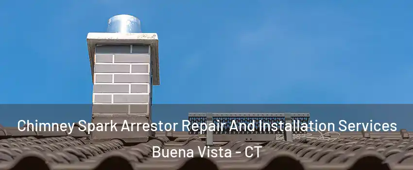 Chimney Spark Arrestor Repair And Installation Services Buena Vista - CT