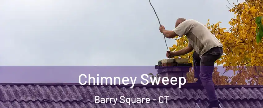 Chimney Sweep Barry Square - CT