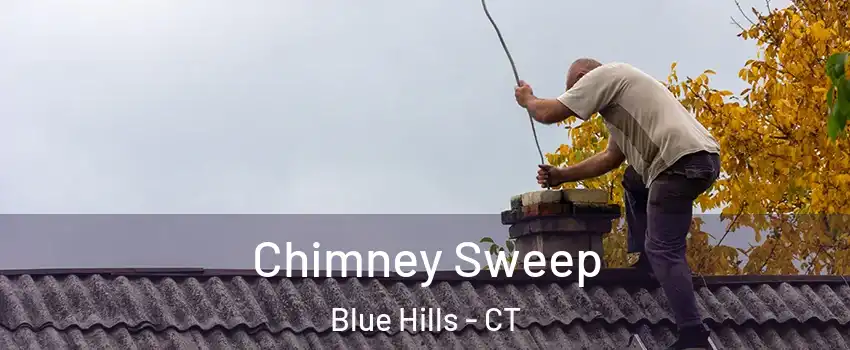 Chimney Sweep Blue Hills - CT