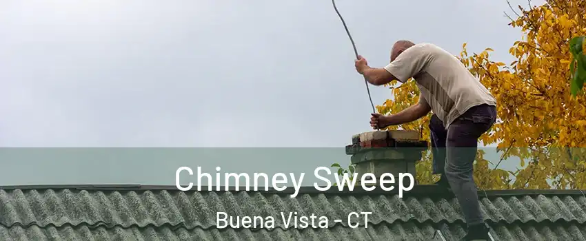 Chimney Sweep Buena Vista - CT