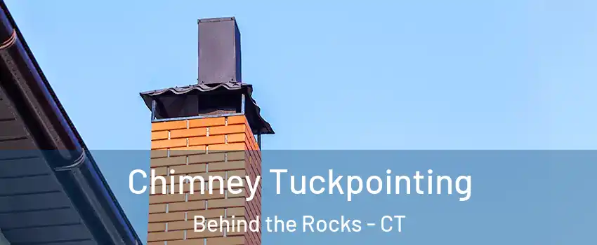 Chimney Tuckpointing Behind the Rocks - CT