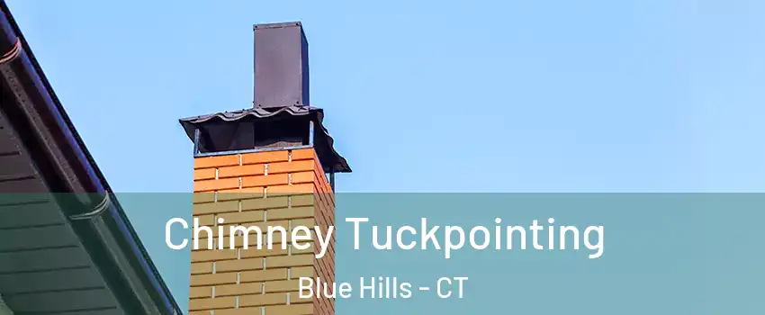 Chimney Tuckpointing Blue Hills - CT