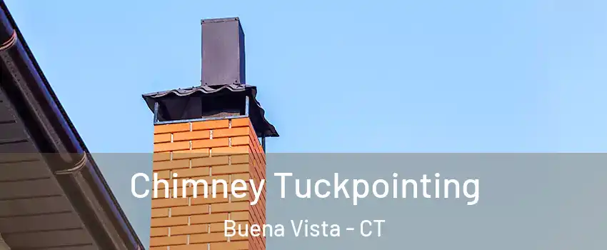Chimney Tuckpointing Buena Vista - CT