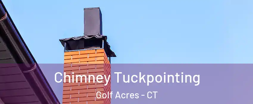 Chimney Tuckpointing Golf Acres - CT