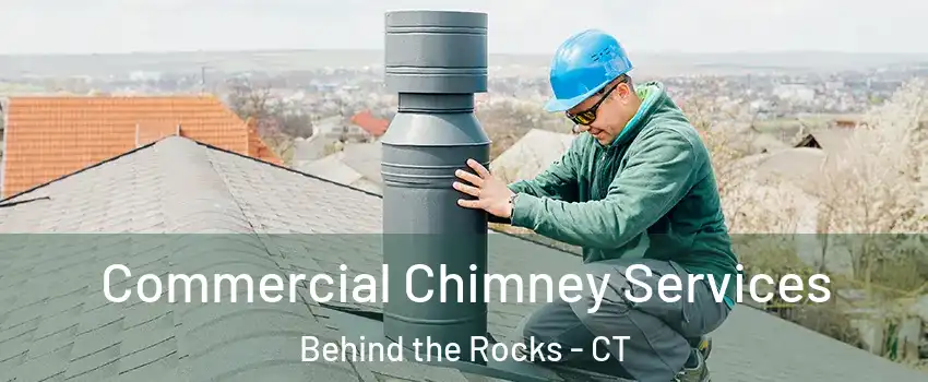 Commercial Chimney Services Behind the Rocks - CT