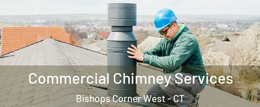 Commercial Chimney Services Bishops Corner West - CT