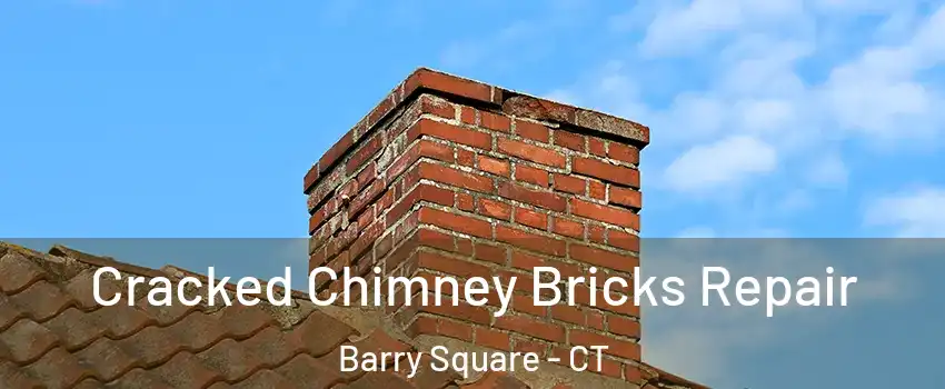 Cracked Chimney Bricks Repair Barry Square - CT