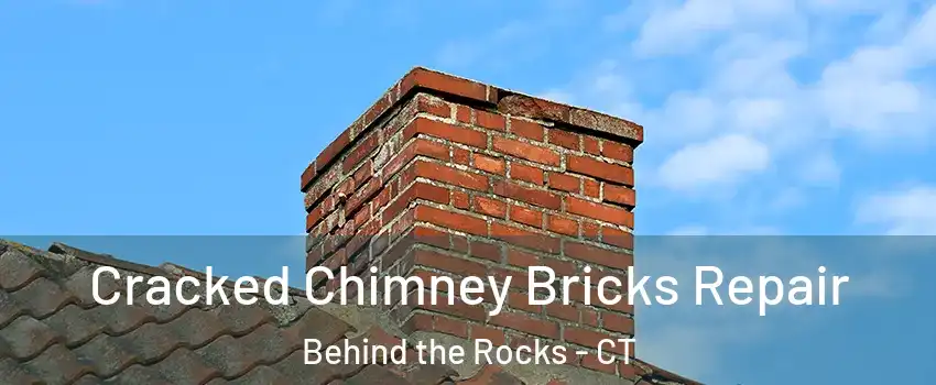 Cracked Chimney Bricks Repair Behind the Rocks - CT
