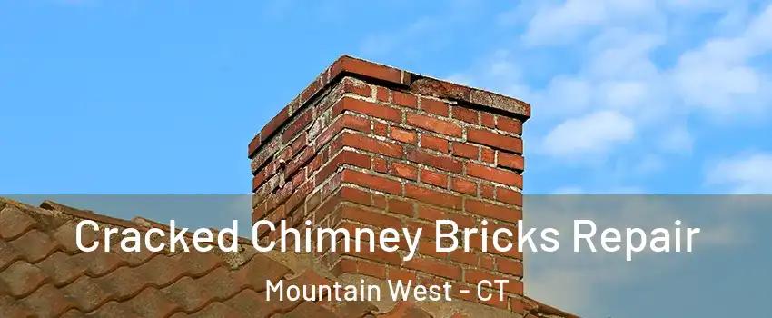 Cracked Chimney Bricks Repair Mountain West - CT