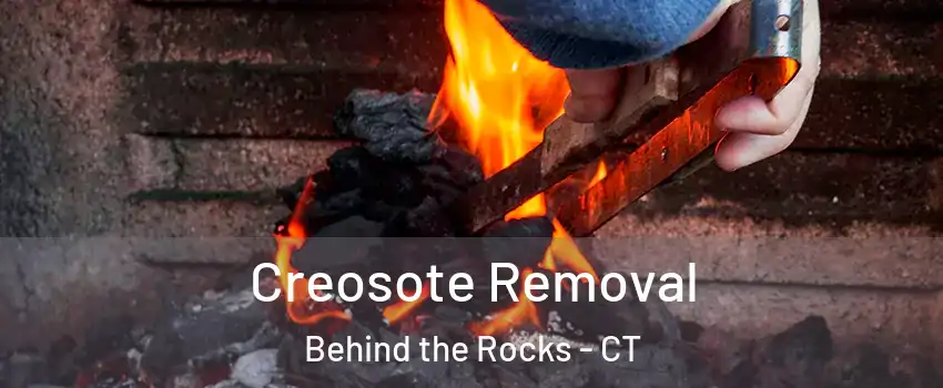 Creosote Removal Behind the Rocks - CT