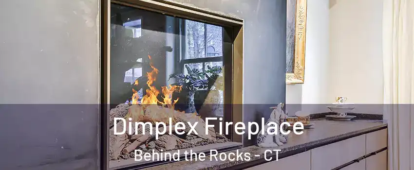 Dimplex Fireplace Behind the Rocks - CT